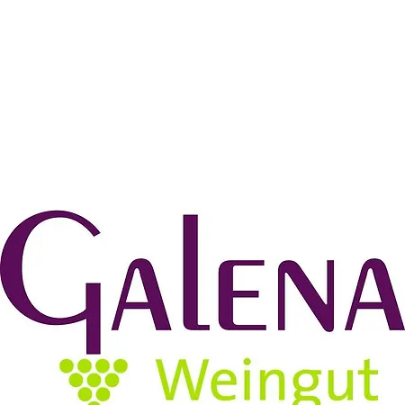 Apartment Weingut / Fewo Galena Sommerach